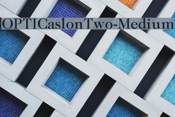 OPTICaslonTwo-Medium Example 2