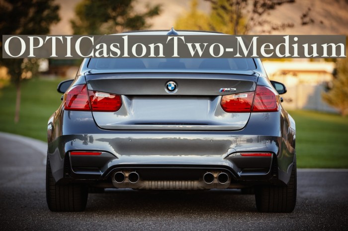 OPTICaslonTwo-Medium Example 3