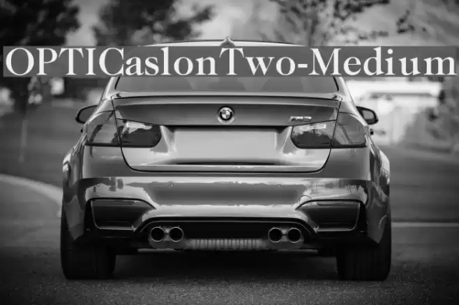 OPTICaslonTwo-Medium Font examples