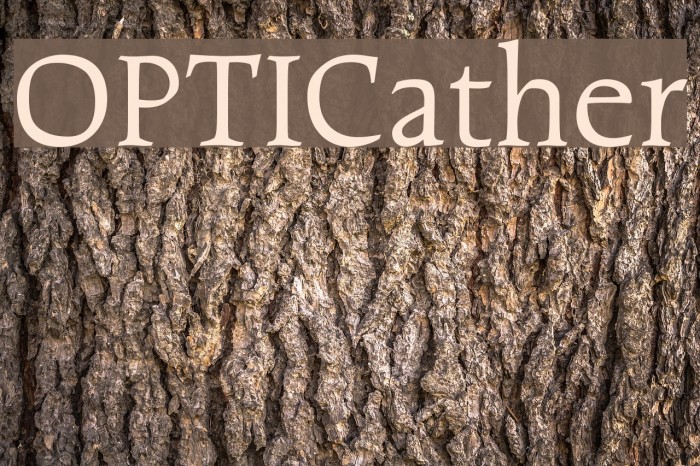 OPTICather Font examples