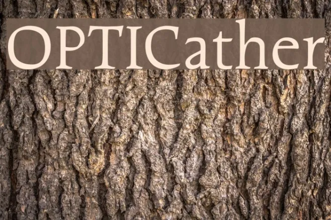 OPTICather Example 3