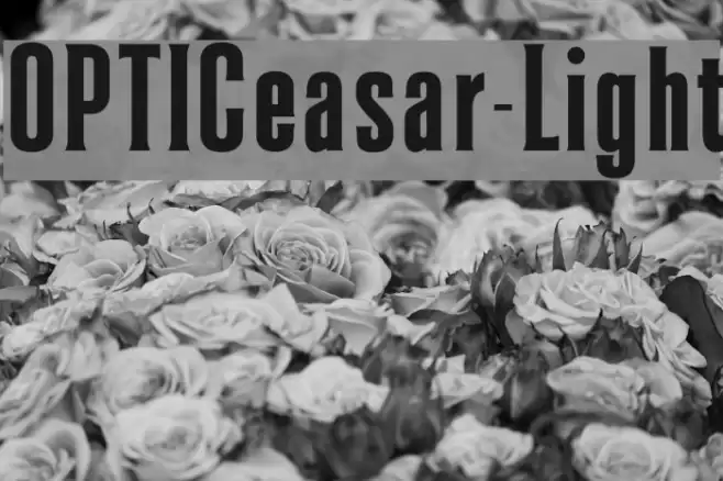 OPTICeasar-Light フォント examples