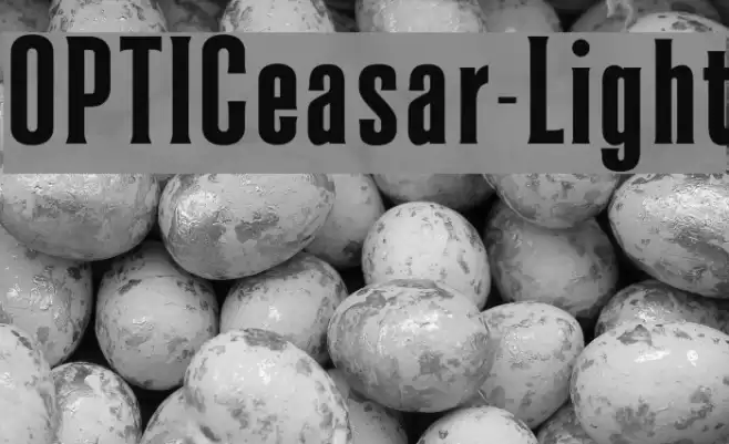 OPTICeasar-Light フォント examples