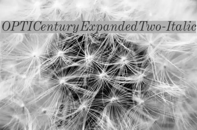 OPTICenturyExpandedTwo-Italic Fonte examples
