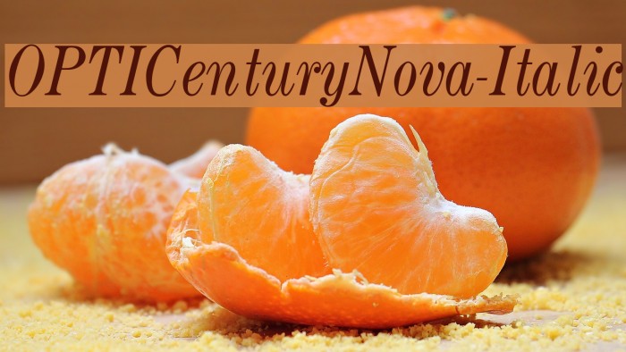 OPTICenturyNova-Italic Font examples