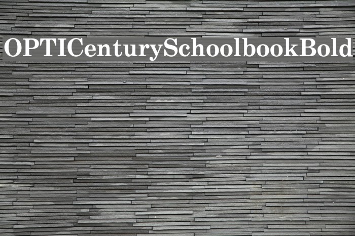 OPTICenturySchoolbookBold Font examples
