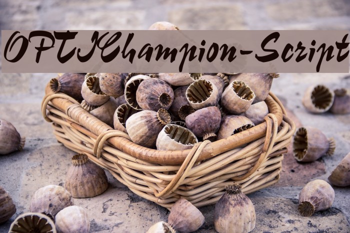 OPTIChampion-Script Example 1