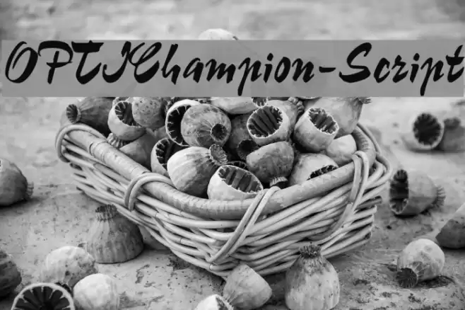 OPTIChampion-Script Font examples
