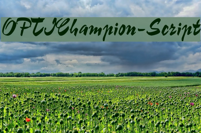 OPTIChampion-Script Example 2