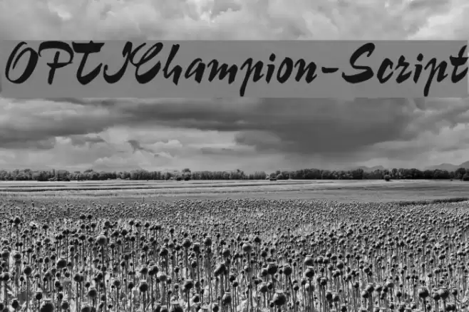 OPTIChampion-Script Font examples