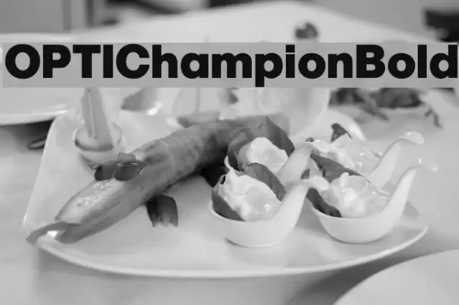 OPTIChampionBold Font examples