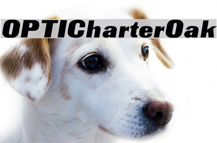 OPTICharterOak Font examples