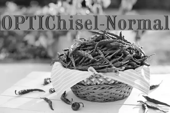 OPTIChisel-Normal Font examples
