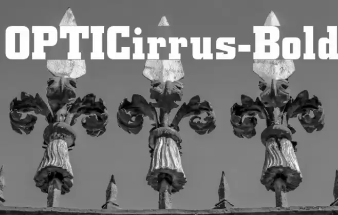 OPTICirrus-Bold Font examples