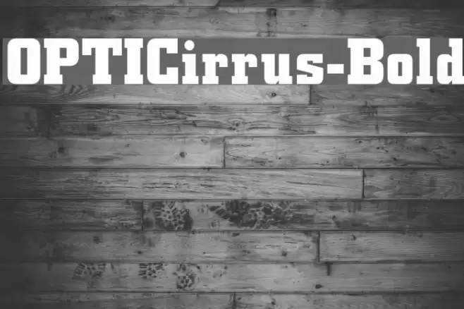 OPTICirrus-Bold Font examples