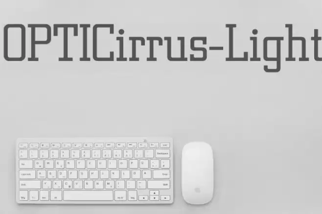OPTICirrus-Light Polices examples
