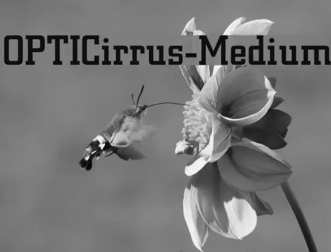 OPTICirrus-Medium Font examples