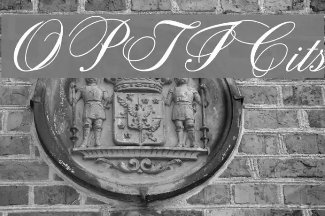 OPTICits Font examples