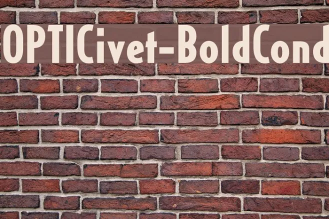OPTICivet-BoldCond Example 1