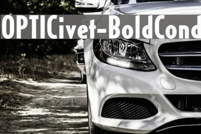 OPTICivet-BoldCond Example 2