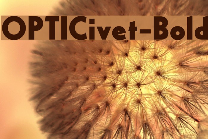OPTICivet-Bold Font examples