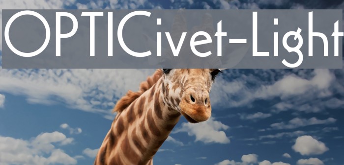 OPTICivet-Light Example 1