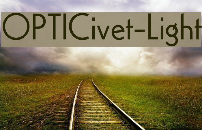 OPTICivet-Light Example 2