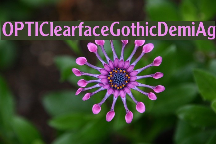 OPTIClearfaceGothicDemiAg Font examples