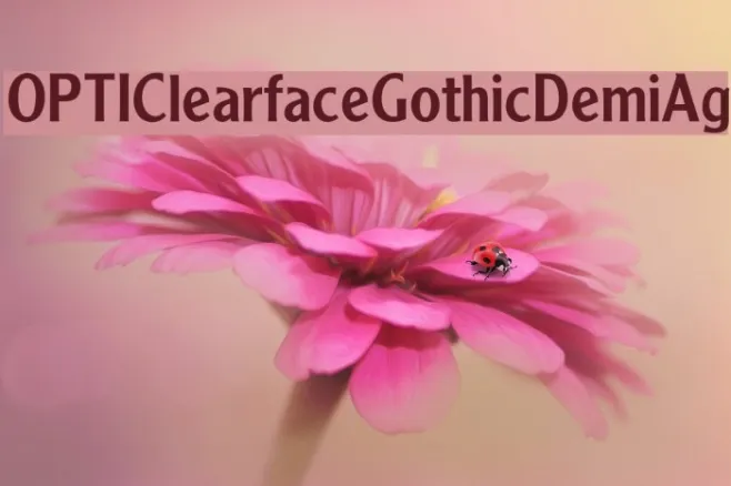 OPTIClearfaceGothicDemiAg Example 3