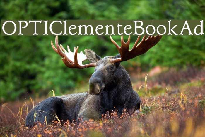 OPTIClementeBookAd Font examples