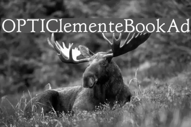 OPTIClementeBookAd Font examples