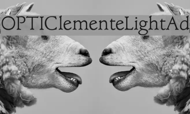 OPTIClementeLightAd  examples