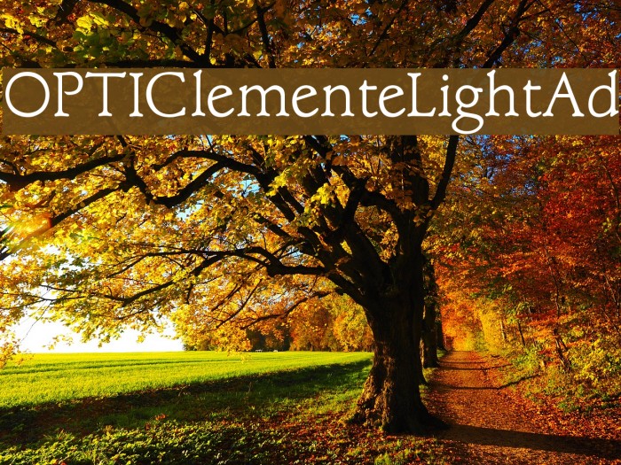 OPTIClementeLightAd Font examples