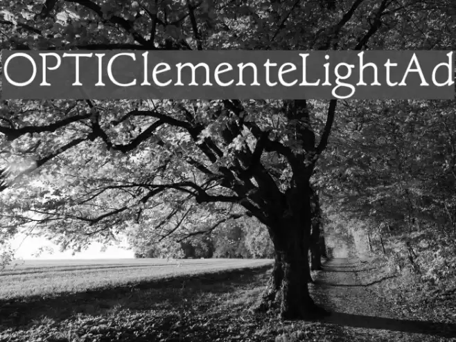 OPTIClementeLightAd  examples