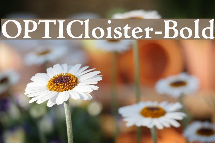 OPTICloister-Bold Example 2