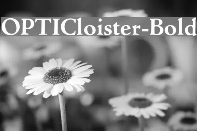 OPTICloister-Bold Font examples