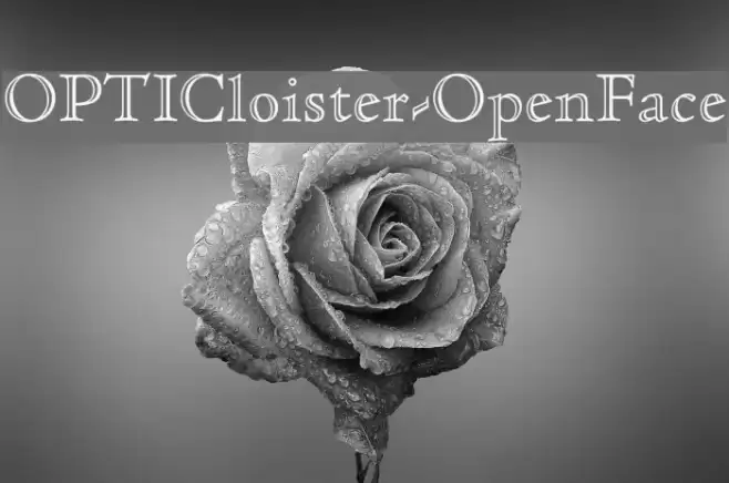 OPTICloister-OpenFace Font examples