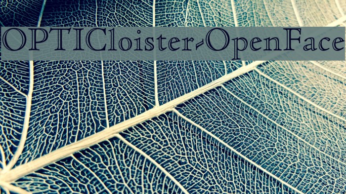 OPTICloister-OpenFace Font examples