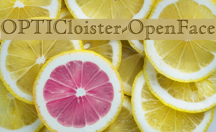 OPTICloister-OpenFace Font examples