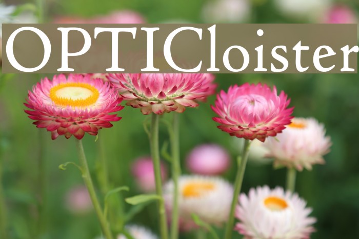 OPTICloister Font examples