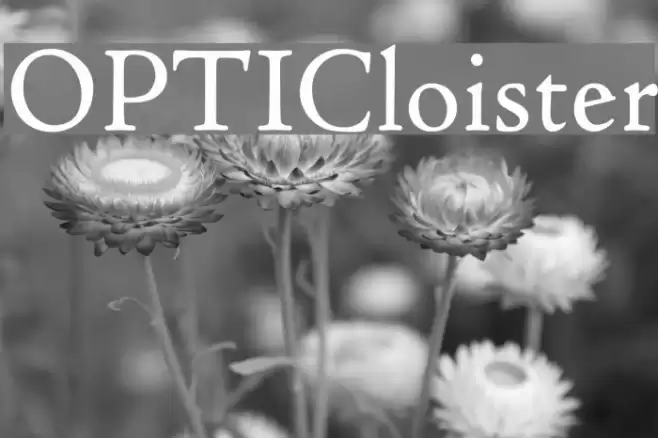 OPTICloister  examples