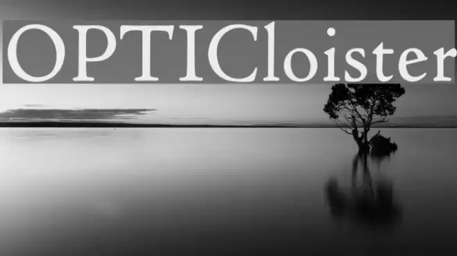 OPTICloister  examples