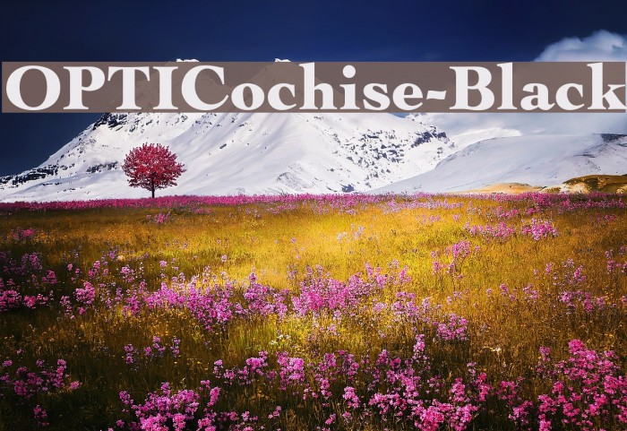 OPTICochise-Black Шрифта examples