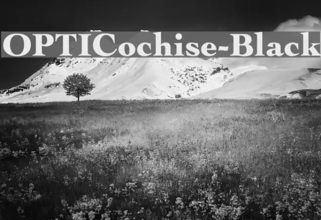 OPTICochise-Black Font examples