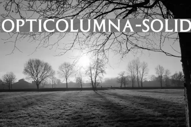 OPTIColumna-Solid Font examples