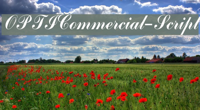 OPTICommercial-Script Font examples