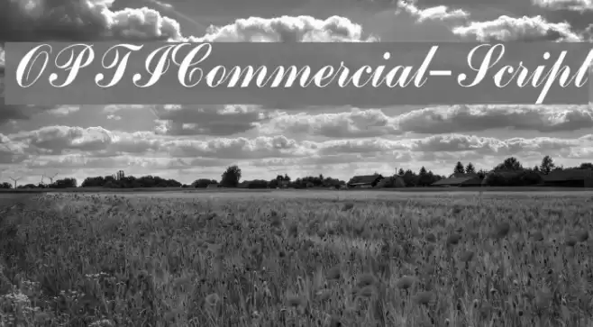 OPTICommercial-Script Polices examples