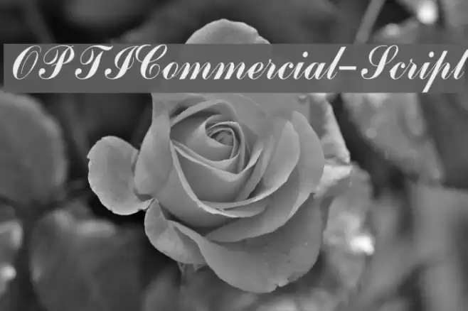 OPTICommercial-Script Polices examples