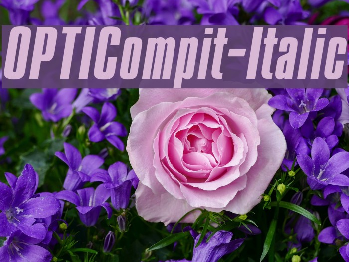 OPTICompit-Italic Font examples