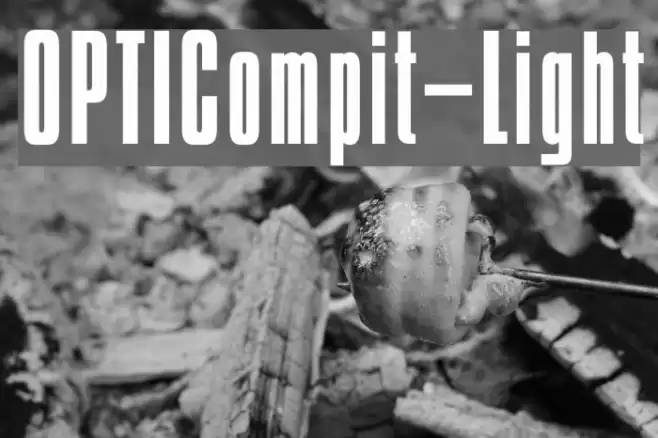 OPTICompit-Light خط examples